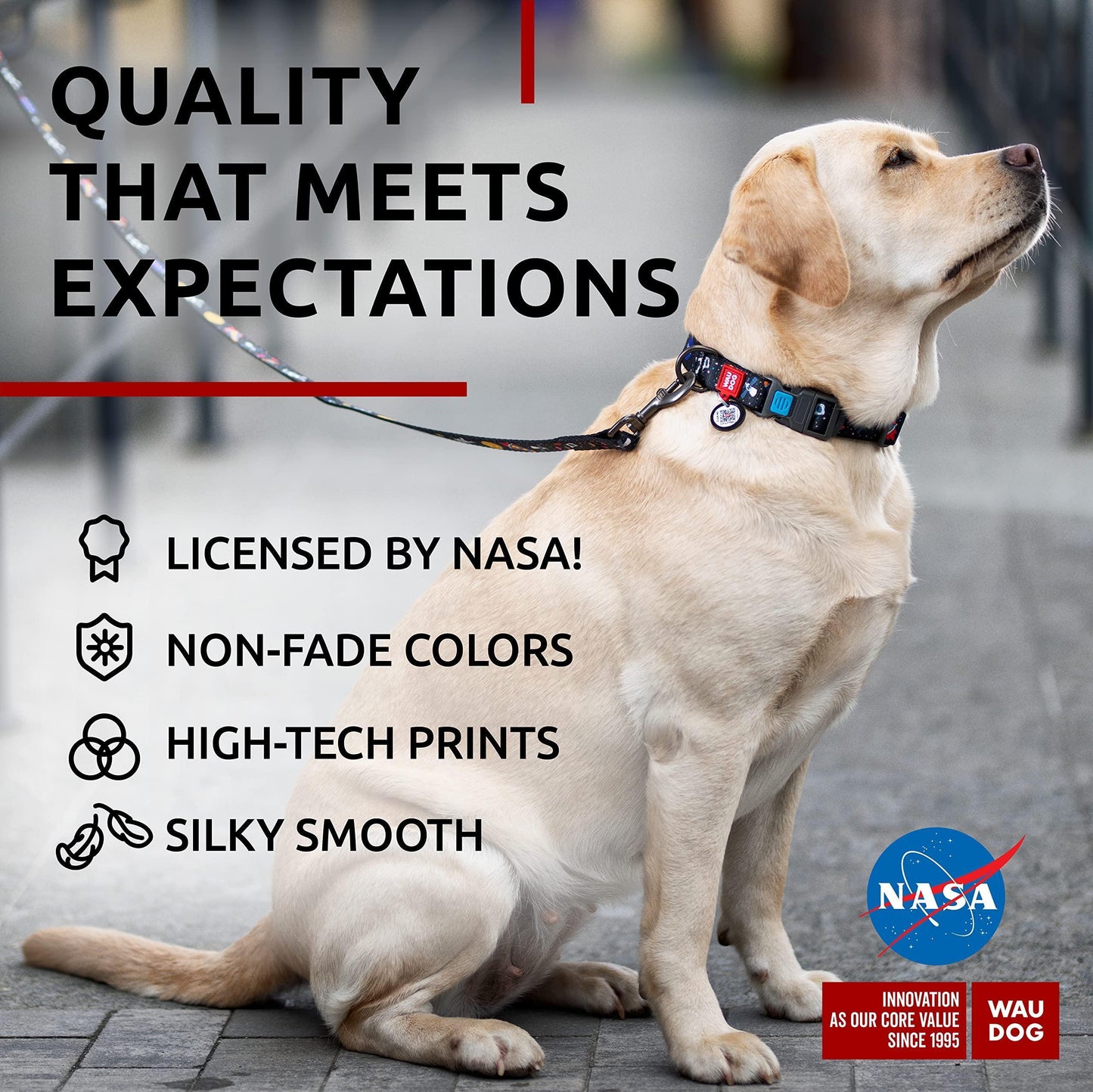 Nylon Dog Collar Adjustable for Large Dogs 1219 in Neck X 1 in Wide NASA Color